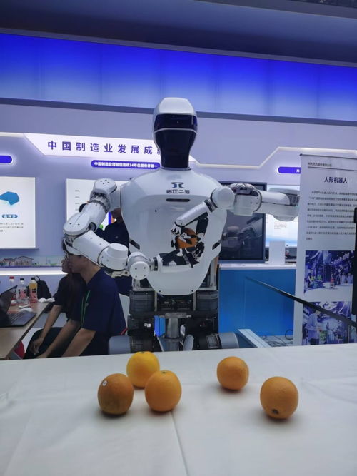 安徽人工智能產業崛起 制造業大會機器人云集，AI軟件開發賦能智造升級